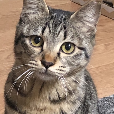 ととろの写真