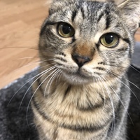ととろ