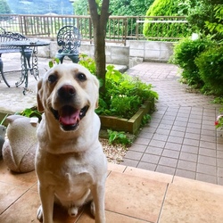 笑顔がステキ！