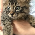 優しい家族ができました！