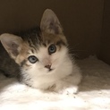 優しい家族ができました！