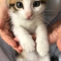 優しい家族ができました！