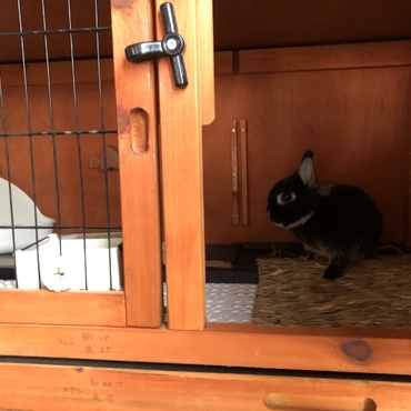 の写真