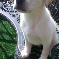 小さい時のトーレスくん！