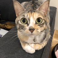 むる