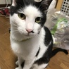 はじめ