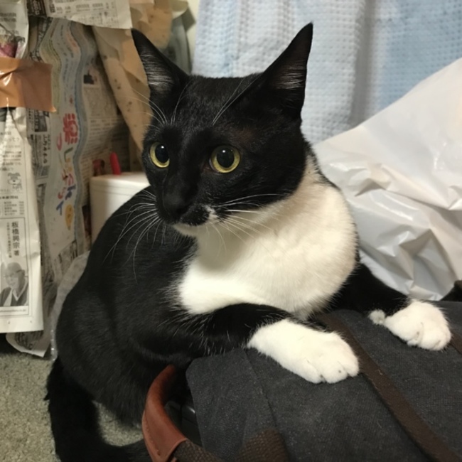 yuzuko5600のカバー写真
