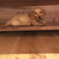 くう