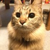 アーキン