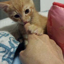 今日は何の日？