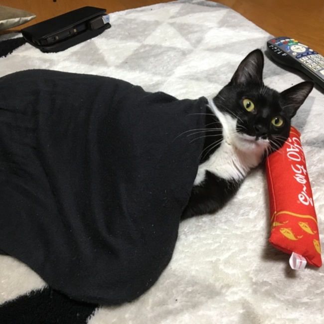 妃鈴のカバー写真