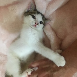 ベタベタっ子性格