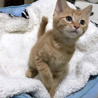 天真爛漫でマイペース　「まっちゃ」君