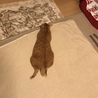 ツチノコ発見(^^)