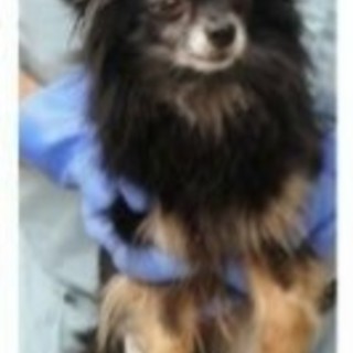 幸せな老後を…