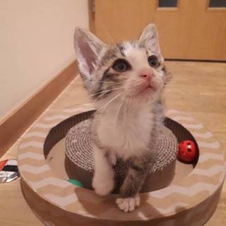 反則的可愛さ♪