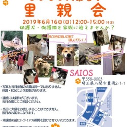 入間ショッピングプラザサイオス犬猫里親会