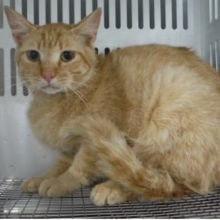 団体様が引き出して下さいました。