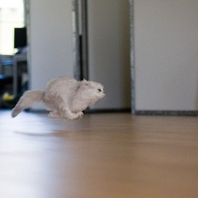 oocooのカバー写真