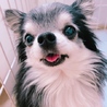 やよい31