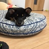 の写真
