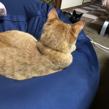 よ〜く見ると…乙春がいる(*≧∀≦*)