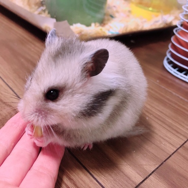 の写真