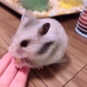 の写真