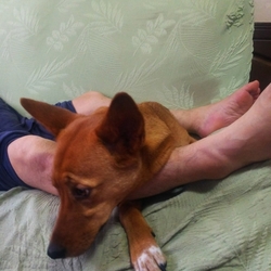 「あ～俺はエマに好かれたい」サムネイル1