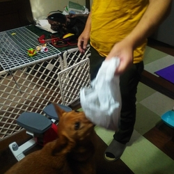 「あ～俺はエマに好かれたい」サムネイル2