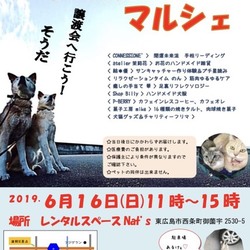 犬猫譲渡会&マルシェ