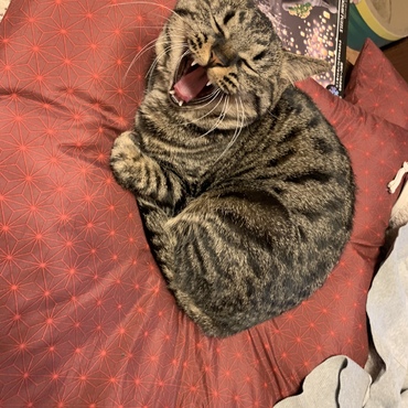 の写真