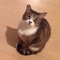 3歳 おとなしくて優しい性格の男の子