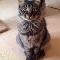 1歳 ひとなつこい男の子