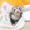  さん