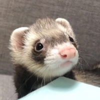 もん