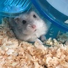 みぃったん