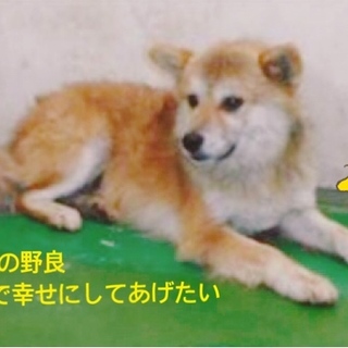 親子で命つながりましたありがとうございます