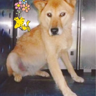 命つながりました！ありがとうございます