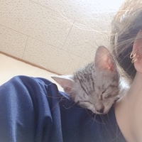 バジル
