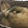 可愛がってくださる方募集してます サムネイル6