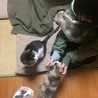 けろす