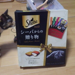 某大型スーパーに行くと～