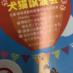 岐阜トヨペット恵那店 5th Thanks Fair わんにゃん・わんわん譲渡会