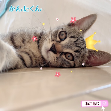 の写真