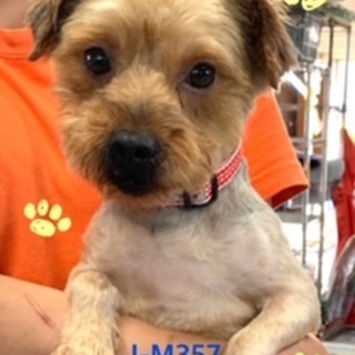 個体番号：I-M３５７　とっても良い子♪