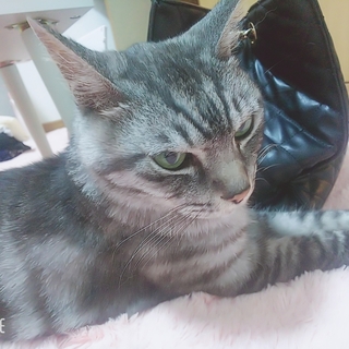 誰か可愛がっていただけないでしょうか。