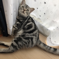 大きくなりました！
