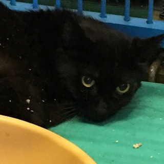 期限超過！時間がありません。