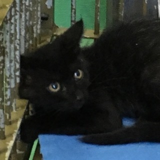 里親様 決まりました。